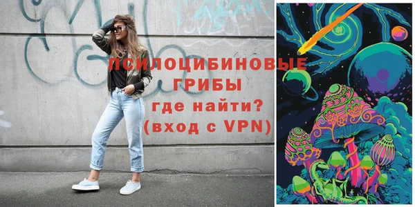 дмт Алексеевка