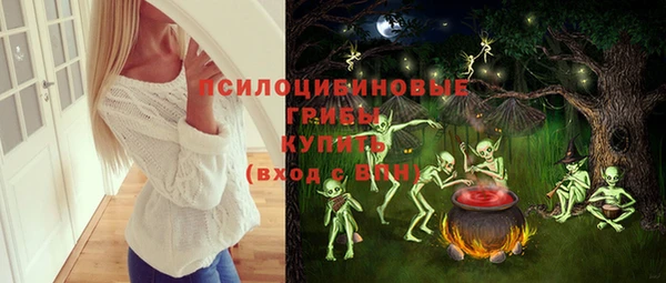 дмт Алексеевка