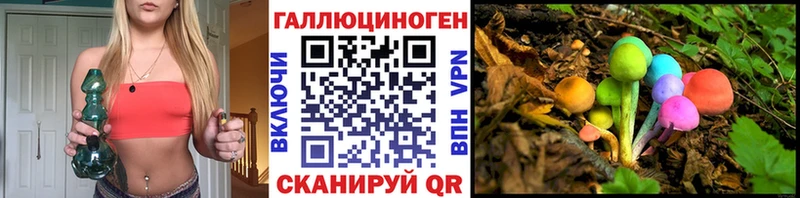 Галлюциногенные грибы Cubensis  где купить наркоту  darknet телеграм  Зеленоградск 